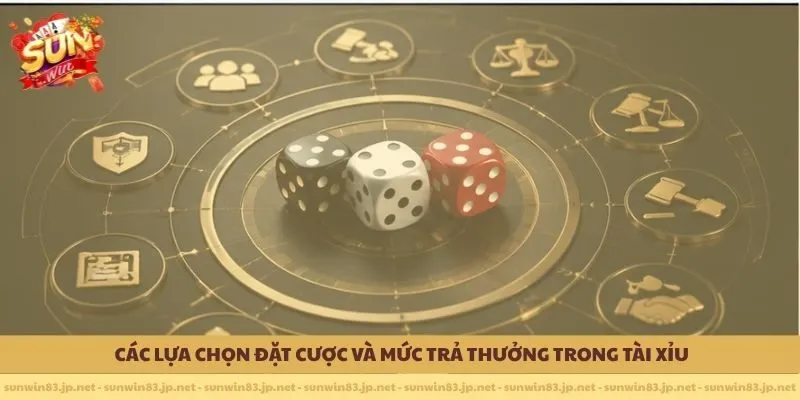       Các lựa chọn đặt cược và mức trả thưởng trong Tài Xỉu