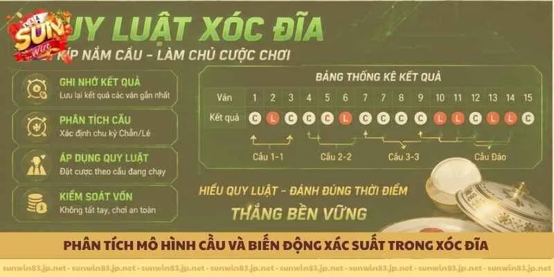 Phân tích mô hình cầu và biến động xác suất trong xóc đĩa